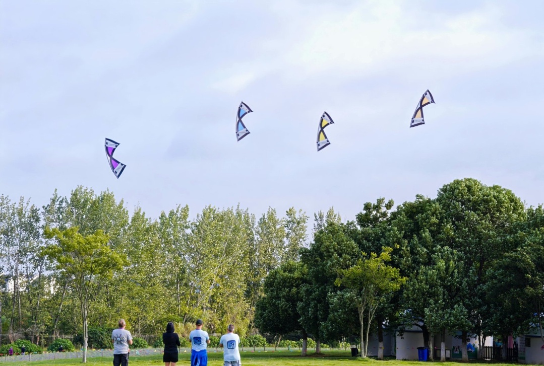 法国, yid, 风筝节组织